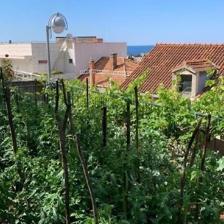 2 - Double With Shared Bathroom 1 - 5 * Dubrovnik